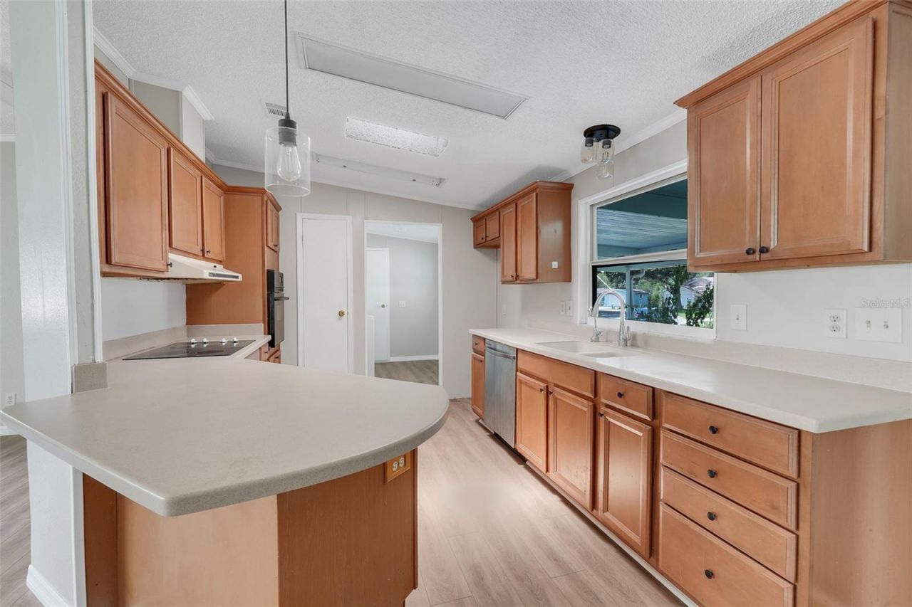 5047 El Destino Drive, Leesburg, FL 34748 Photo