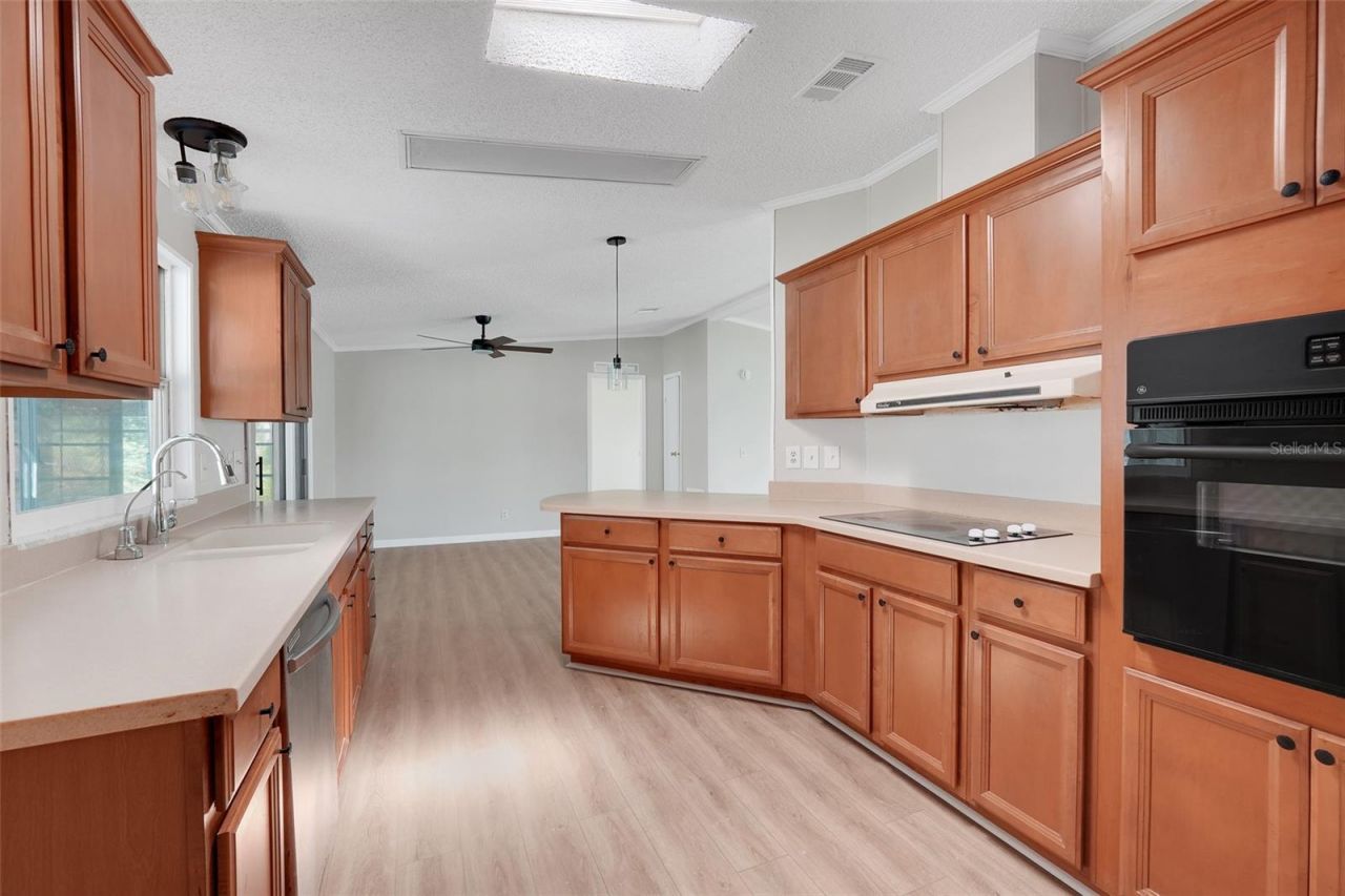 5047 El Destino Drive, Leesburg, FL 34748 Photo