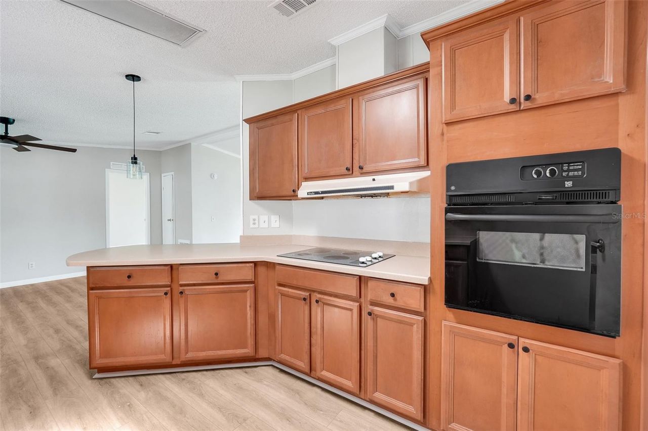 5047 El Destino Drive, Leesburg, FL 34748 Photo