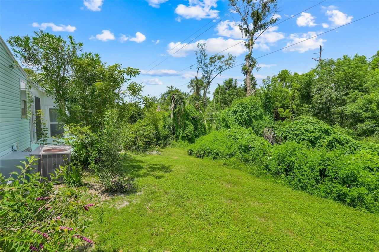 5047 El Destino Drive, Leesburg, FL 34748 Photo