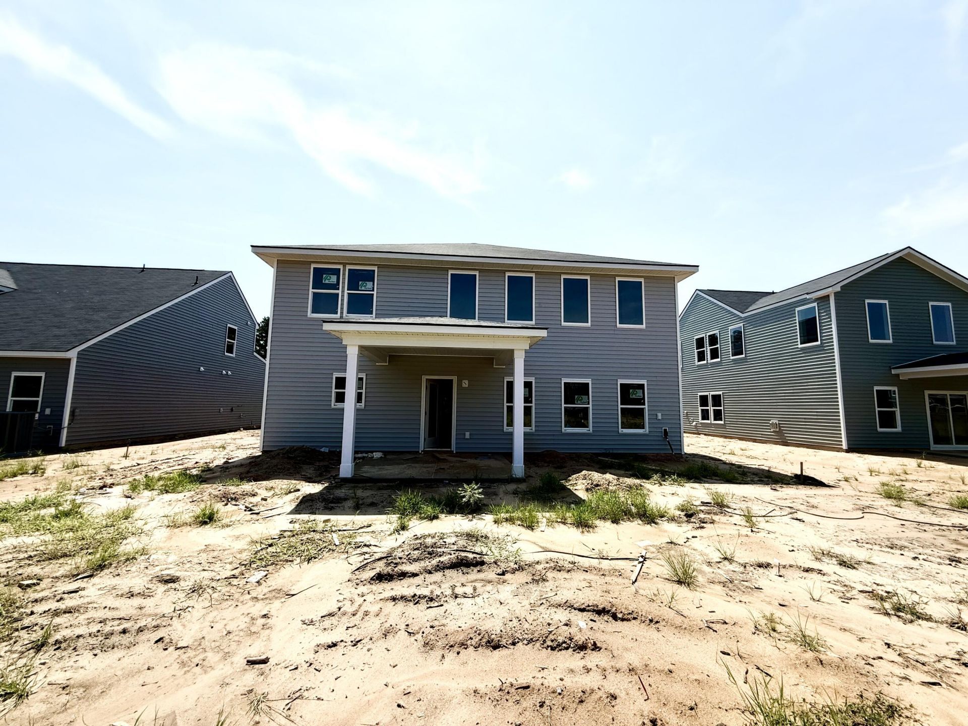 5372 Crinum Lilly Photo 73