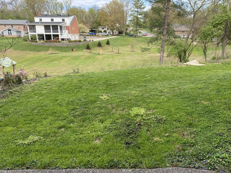 171 Tremont Avenue, Unit #2, Fort Thomas, KY 41075 Photo 9