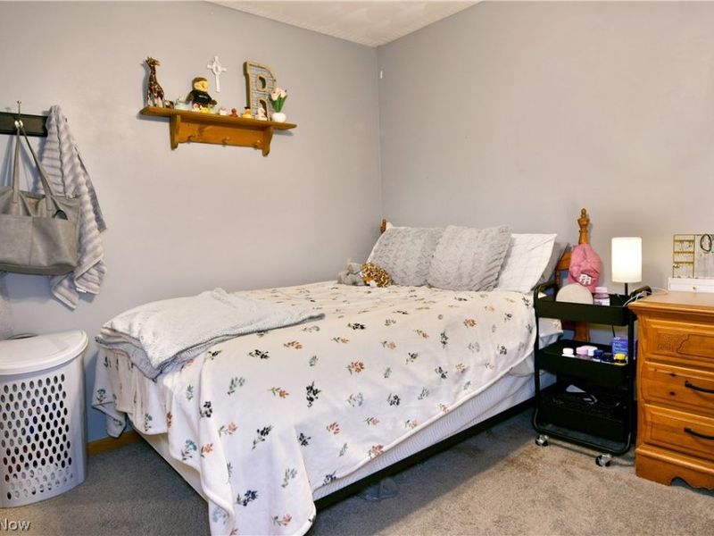 3750 Oakview Drive, Girard, OH 44420 Photo 38