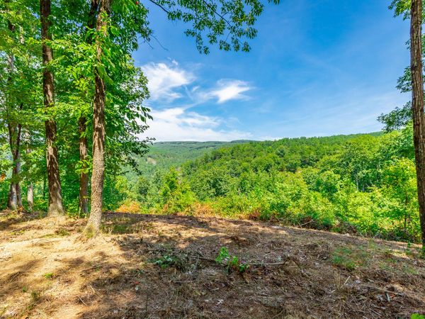0 Birds Eye Way, Guild, TN 37340