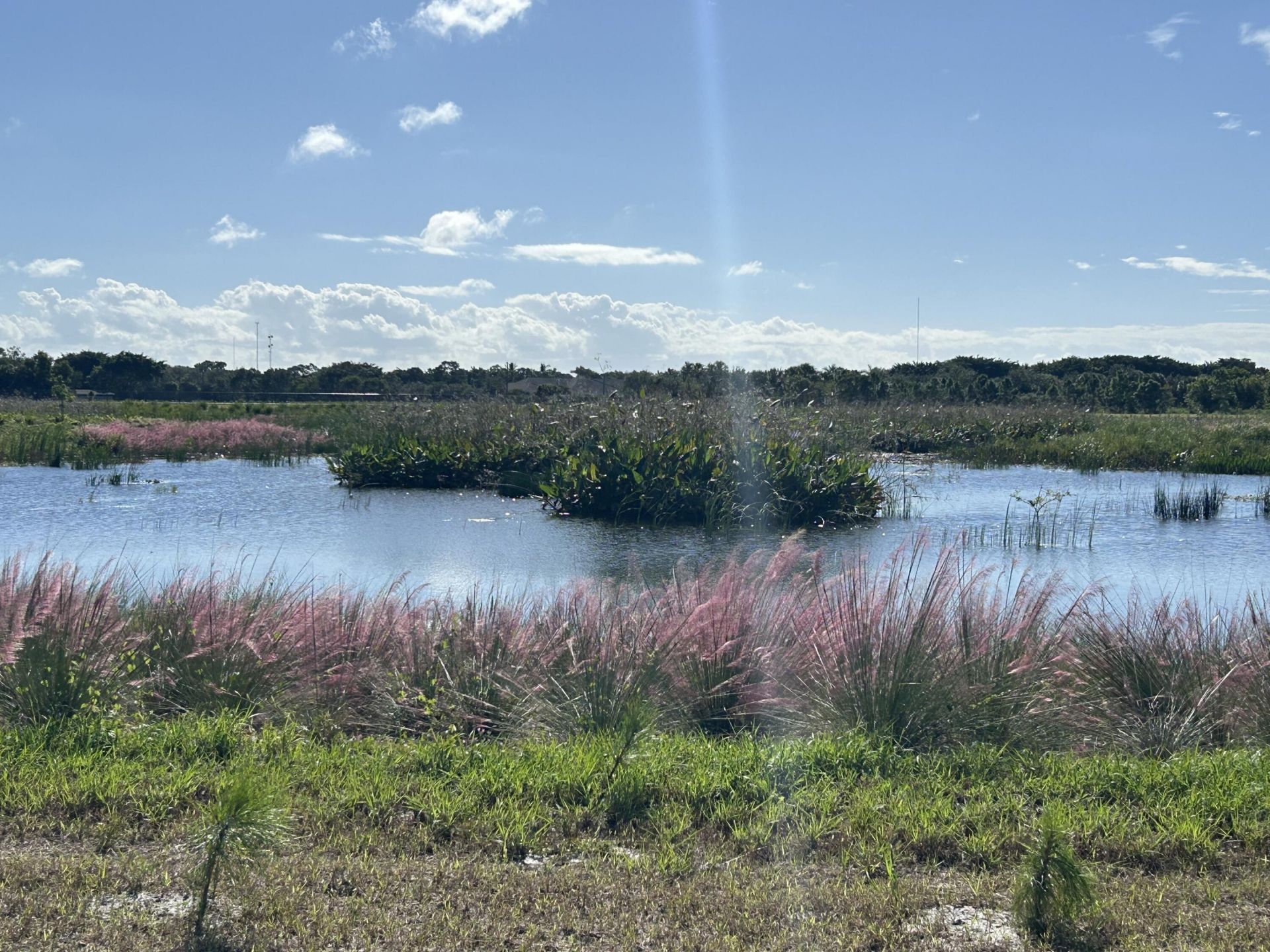 12768 Westhampton Circle, Wellington, FL 33414 Photo