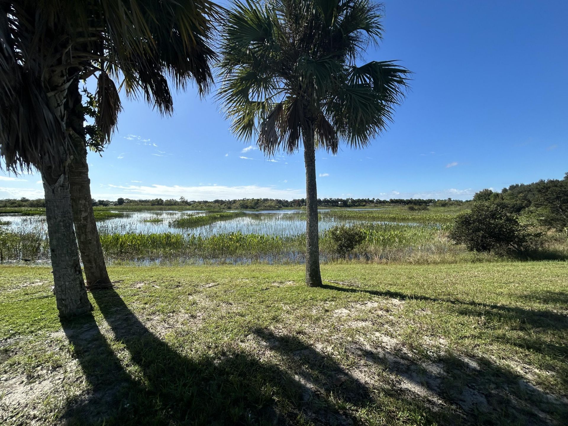 12768 Westhampton Circle, Wellington, FL 33414 Photo