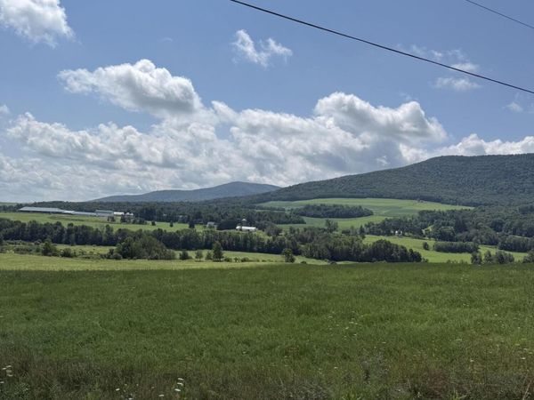 Lot 4.36 Blackberry Street, Gilboa, NY 12076