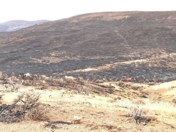 TBD Rock Creek #2, Weiser, ID 83672