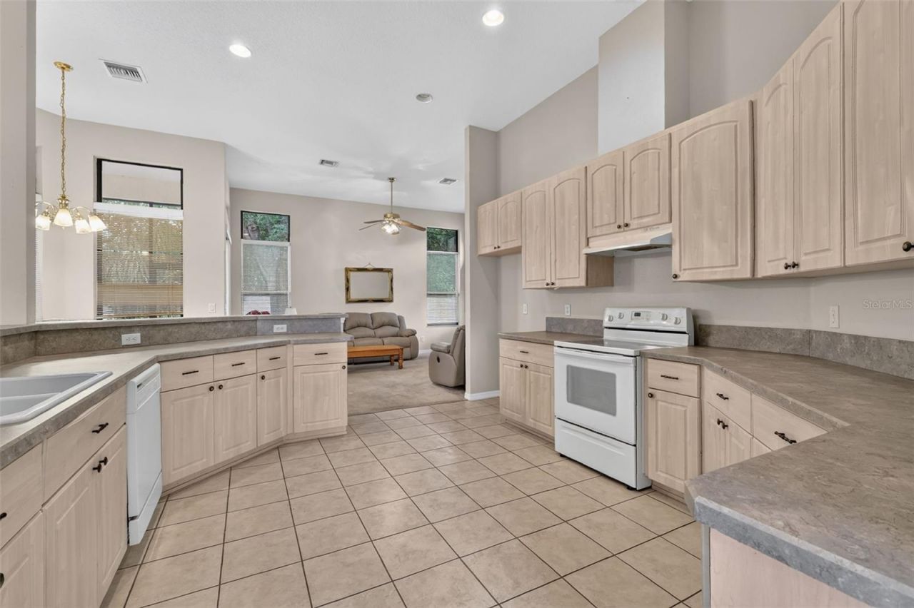 5925 Bag Pipe Place, Leesburg, FL 34748 Photo