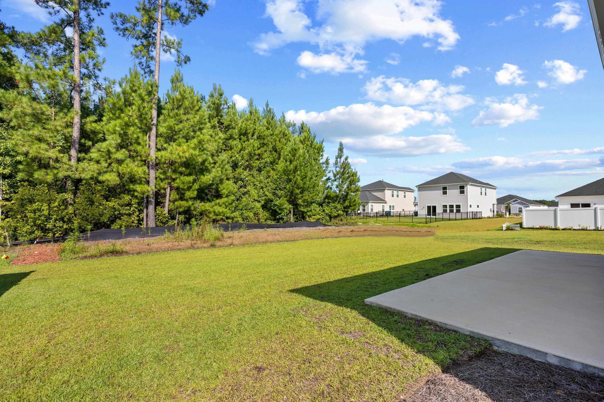 1113 Lauryn Oak Loop Photo 29