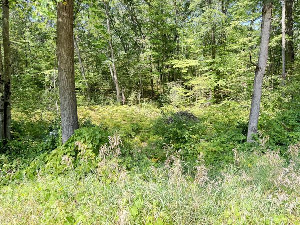 8835 N Bingham Avenue, Bitely, MI 49309