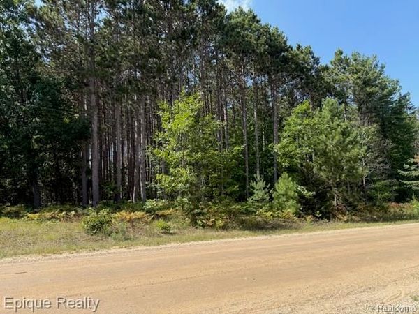 10399 85th Ave, Morton Township, Mi 49332