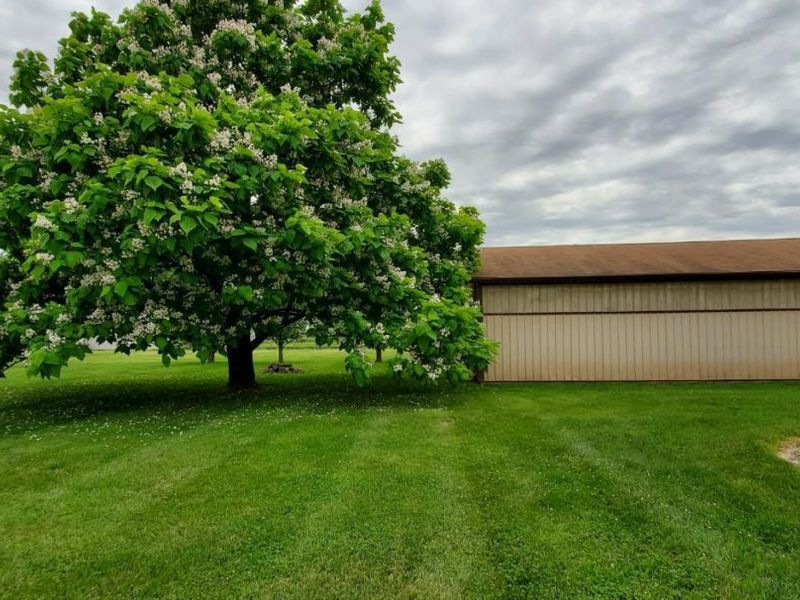 119 Tallahatchie Drive, Jackson Township, OH 45171 Photo 11