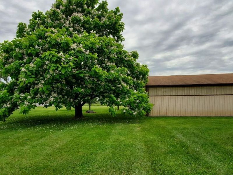 119 Tallahatchie Drive, Jackson Township, OH 45171 Photo 39
