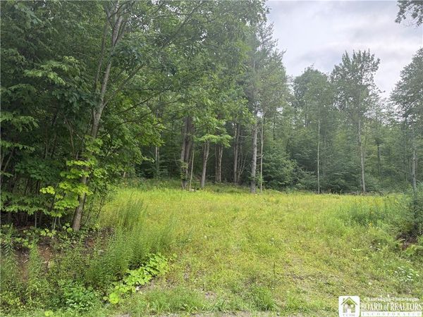 Morgan Hollow Road, Allegany, NY 14706