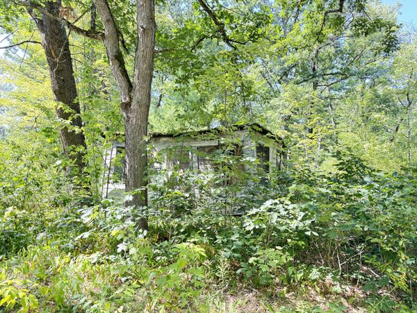 2227 W Oakwood Boulevard, Bitely, MI 49309