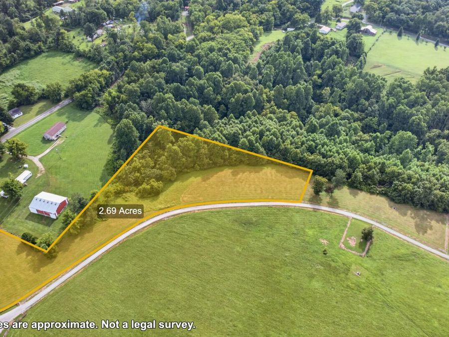 Property Image 6