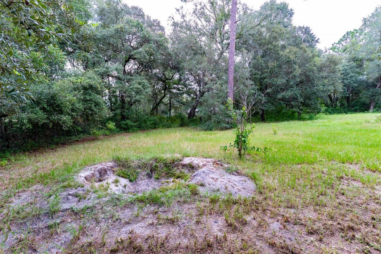 9085 SW 160th Street , Dunnellon, FL 34432 Photo