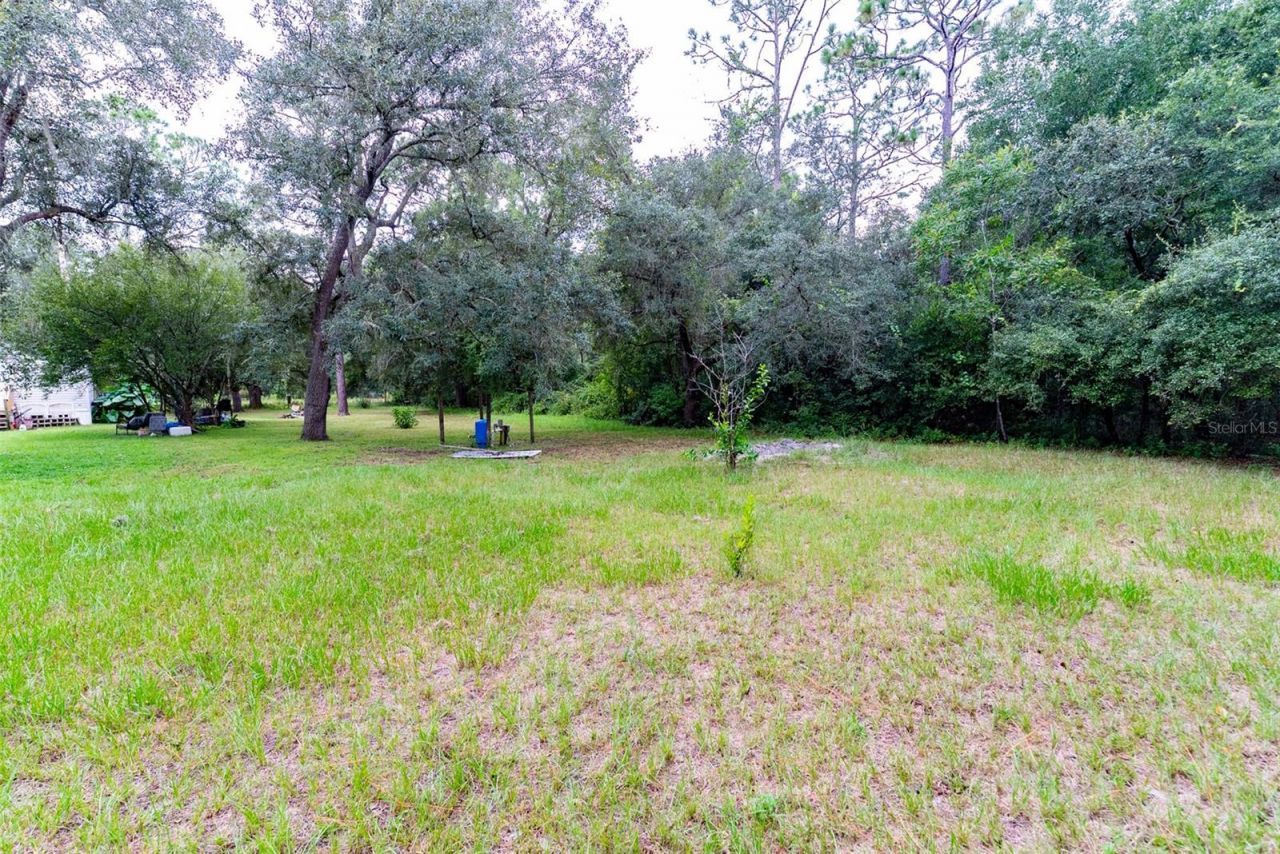 9085 SW 160th Street , Dunnellon, FL 34432 Photo