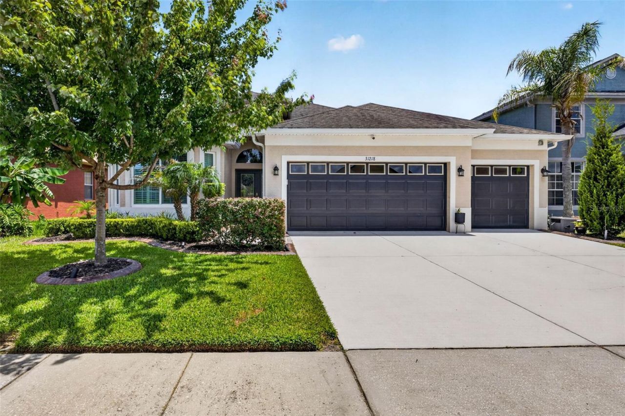31218 Alchester Drive, Wesley Chapel, FL 33543 Main Photo