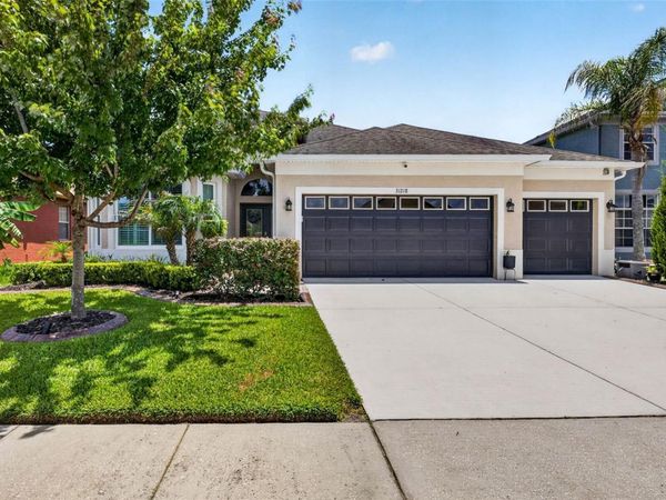 31218 ALCHESTER DRIVE , WESLEY CHAPEL, FL 33543
