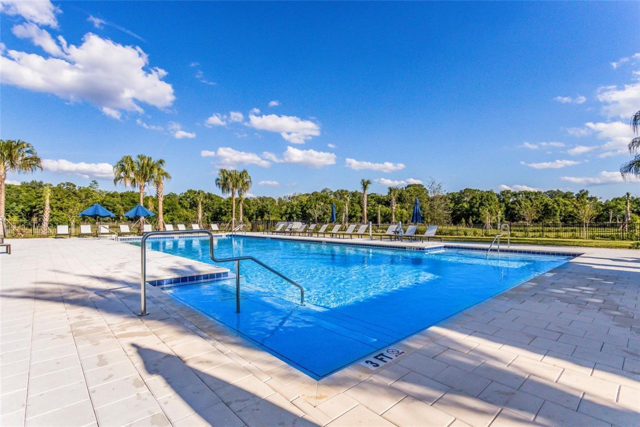 3618 Scrub Creek Run , Lakewood Ranch, FL 34211 Photo