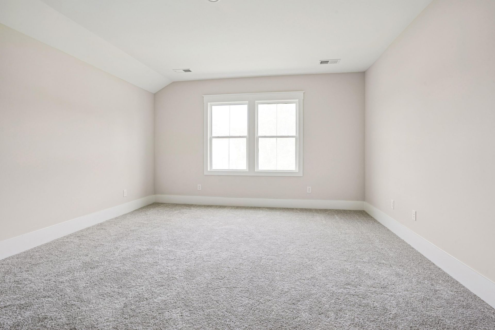 163 Marion Cove Drive Photo 8