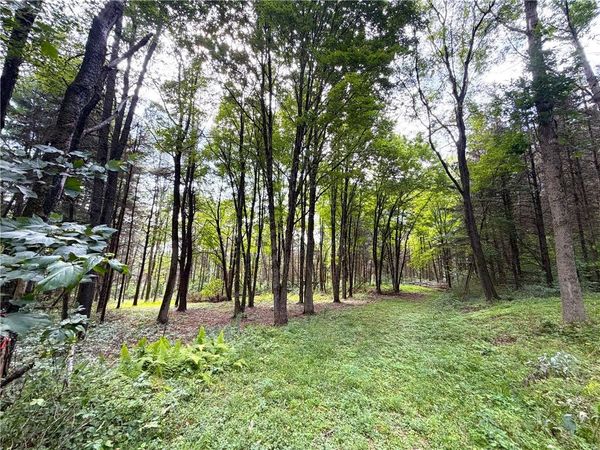 2 Dutton , Cuba, NY 14727