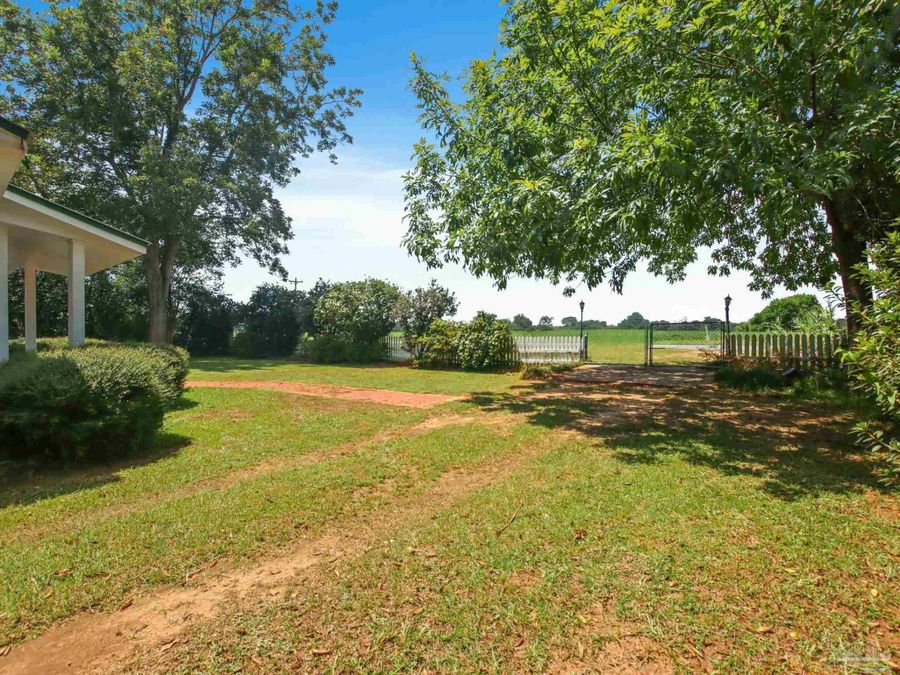 Property Image 47