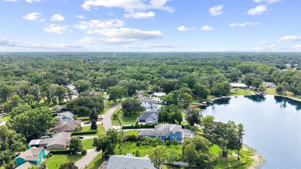 15916 Willowdale Road , Tampa, FL 33625 Photo