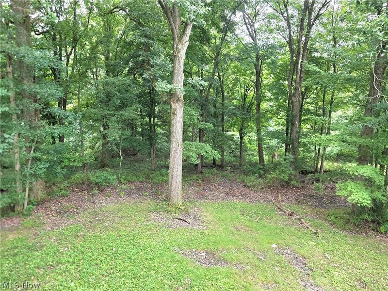 9900 Pebble Beach Cove, Aurora, OH 44202 Photo 33