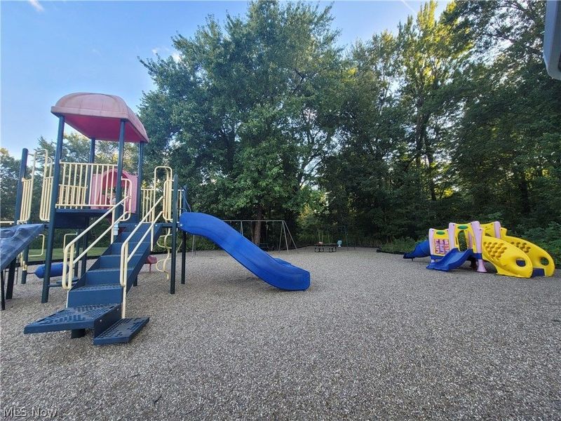 9900 Pebble Beach Cove, Aurora, OH 44202 Photo 48