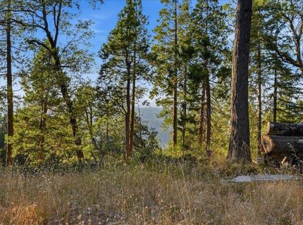 18274 Royal Plum Way, Nevada City, CA 95959 Photo