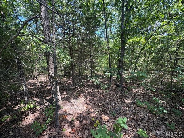 0 Rue Marne , Bonne Terre, MO 63628