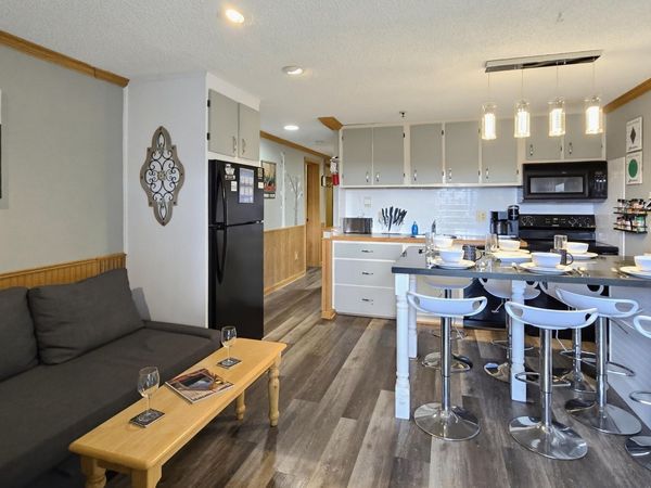 125 Mountain Lodge, Snowshoe, WV 26209