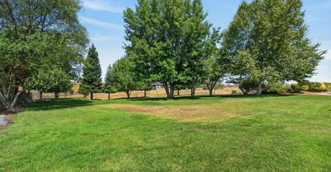 1455 Duck Creek Rd, Ione, CA 95640 Photo