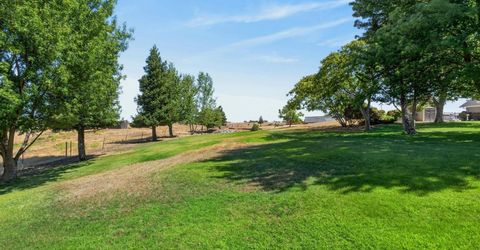 1455 Duck Creek Rd, Ione, CA 95640 Photo