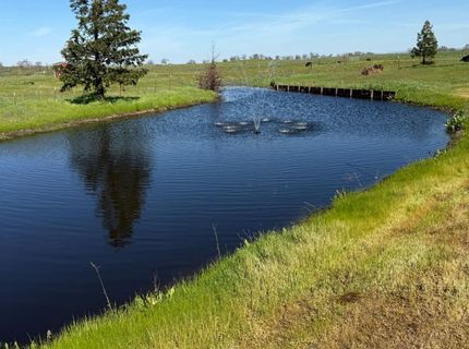 1455 Duck Creek Rd, Ione, CA 95640 Photo