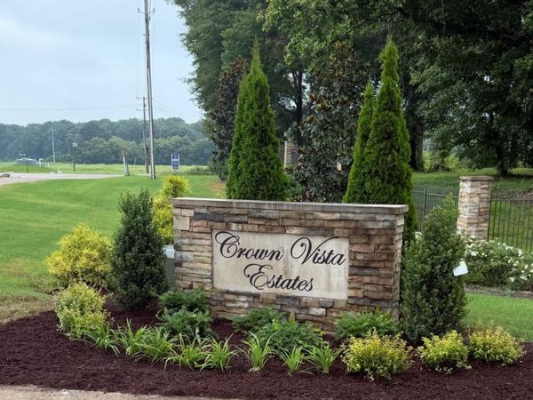 110 CROWN VISTA CV, Piperton, TN 38017