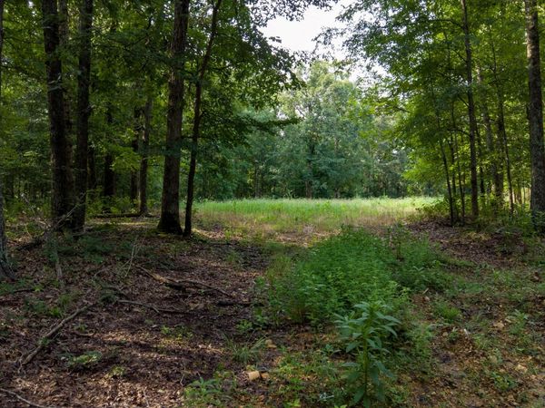 0 Highway 230 , Waverly, TN 37185