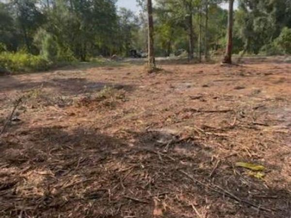 10398 HOLLIE Road, Glen St. Mary, FL 32040