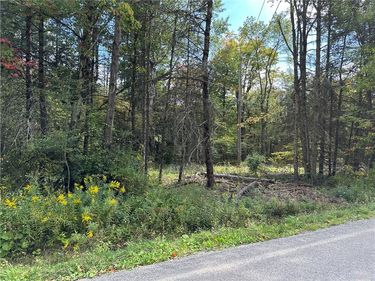 Lot 7 McAndrews Rd, Andover, NY 14806