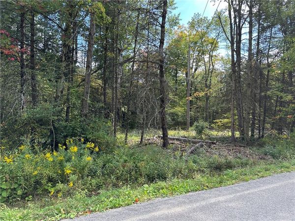 Lot 7 McAndrews Rd, Andover, NY 14806
