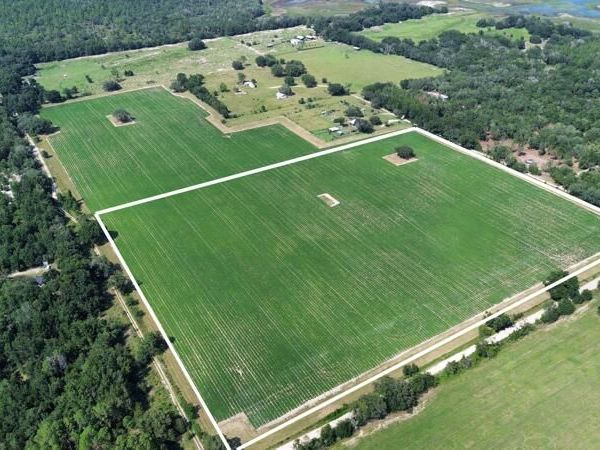 00 SW 120th Ave, Newberry, FL 32669