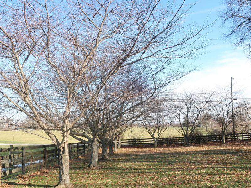 3869 Kentucky 435, Dover, KY 41034 Photo 37