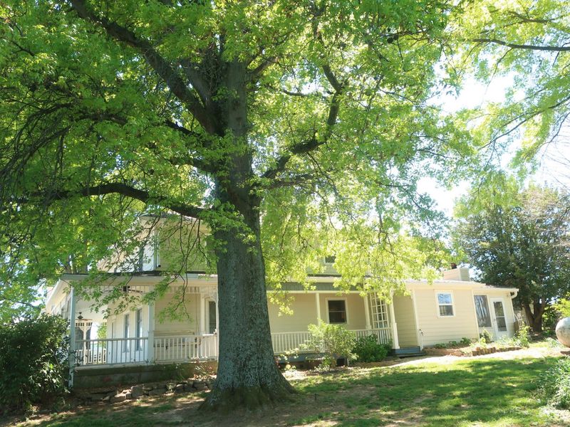 3869 Kentucky 435, Dover, KY 41034 Photo 5