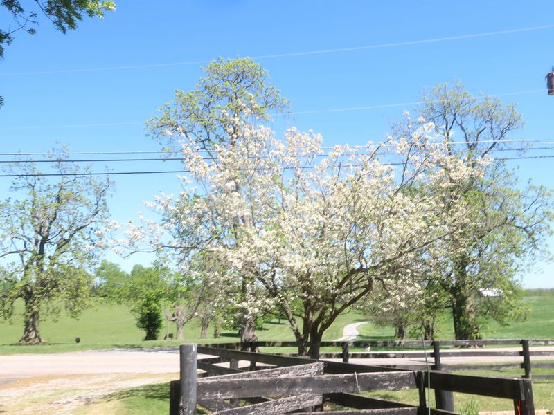 3869 Kentucky 435, Dover, KY 41034 Photo 50