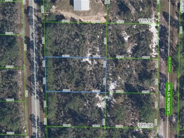 222 Marlin ST NW, LAKE PLACID, FL 33852