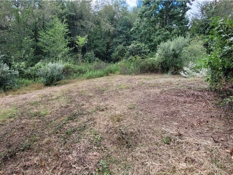 37760 Tappan Scio Road, Scio, OH 43988 Photo 14