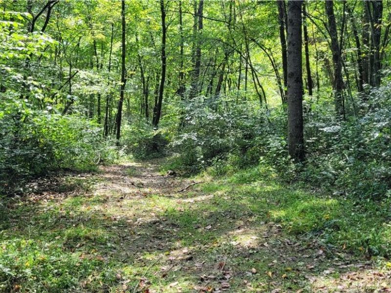 37760 Tappan Scio Road, Scio, OH 43988 Photo 30